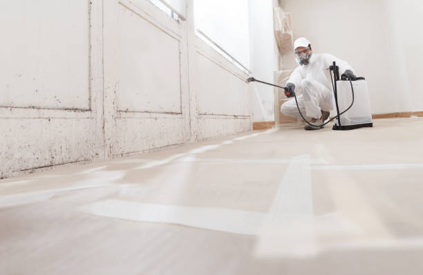 24/7 Emergency Mold Inspection experts in Hamilton, VA